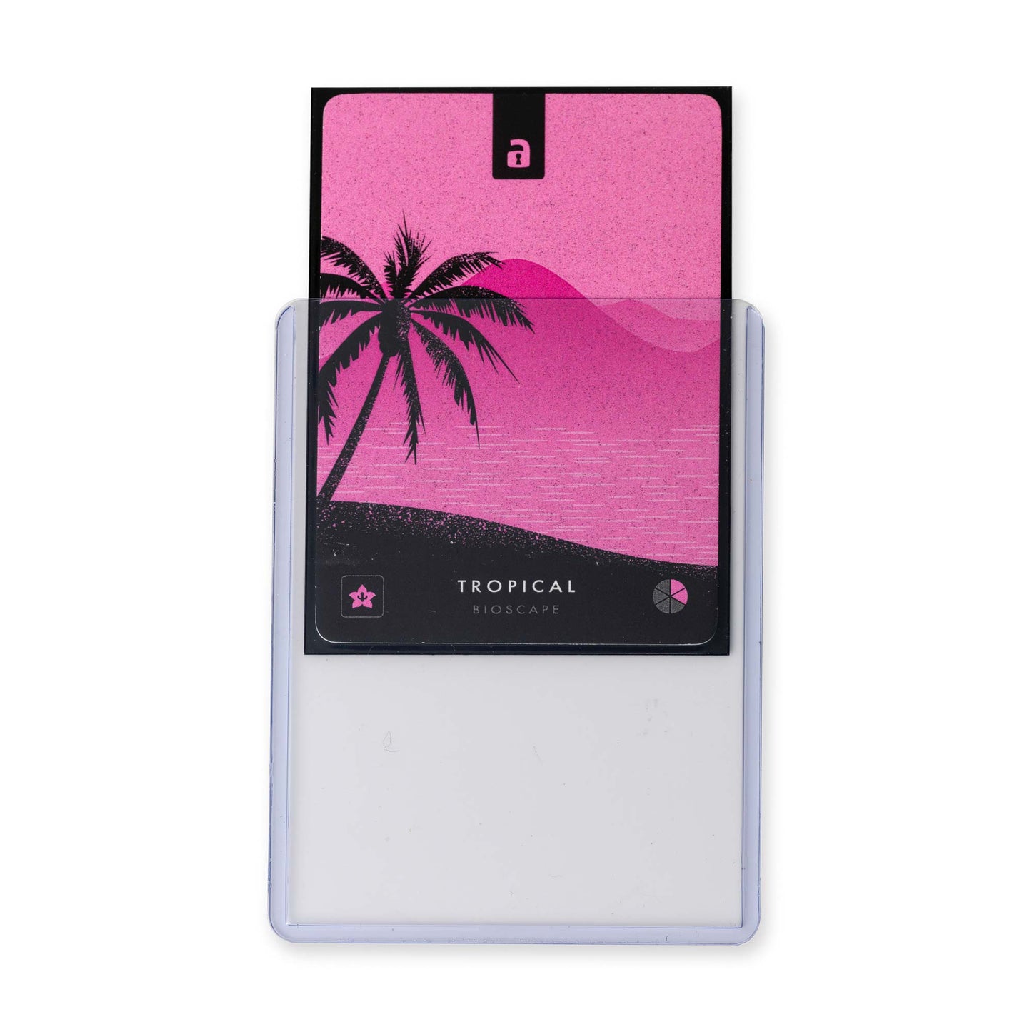 Seamless Rigid Toploaders 35pt